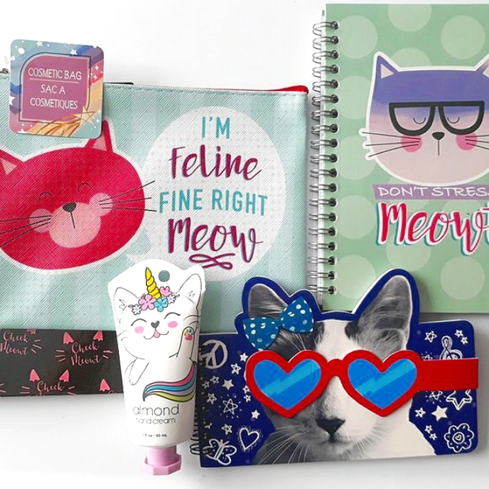 Cutie-Cat Self-care Journal Set